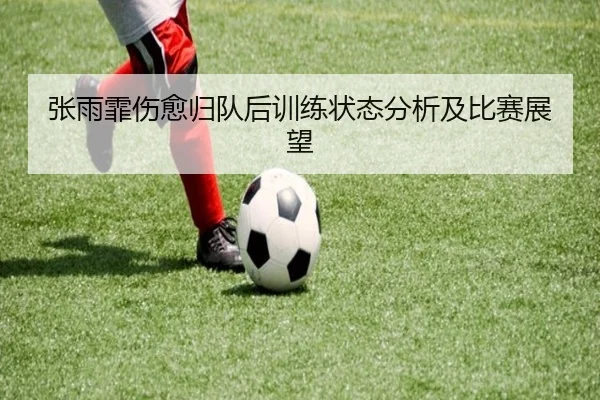 张雨霏伤愈归队后训练状态分析及比赛展望